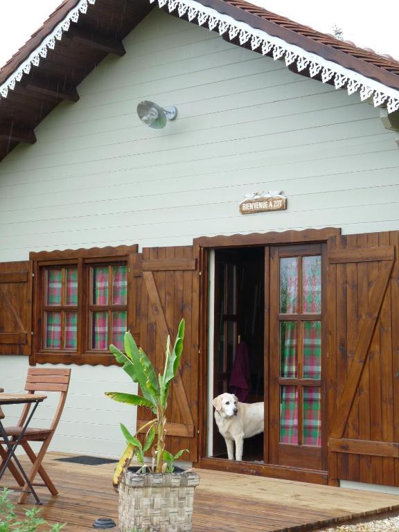 Le Trot'In Chair Bed and Breakfast Martigny-le-Comte Δωμάτιο φωτογραφία