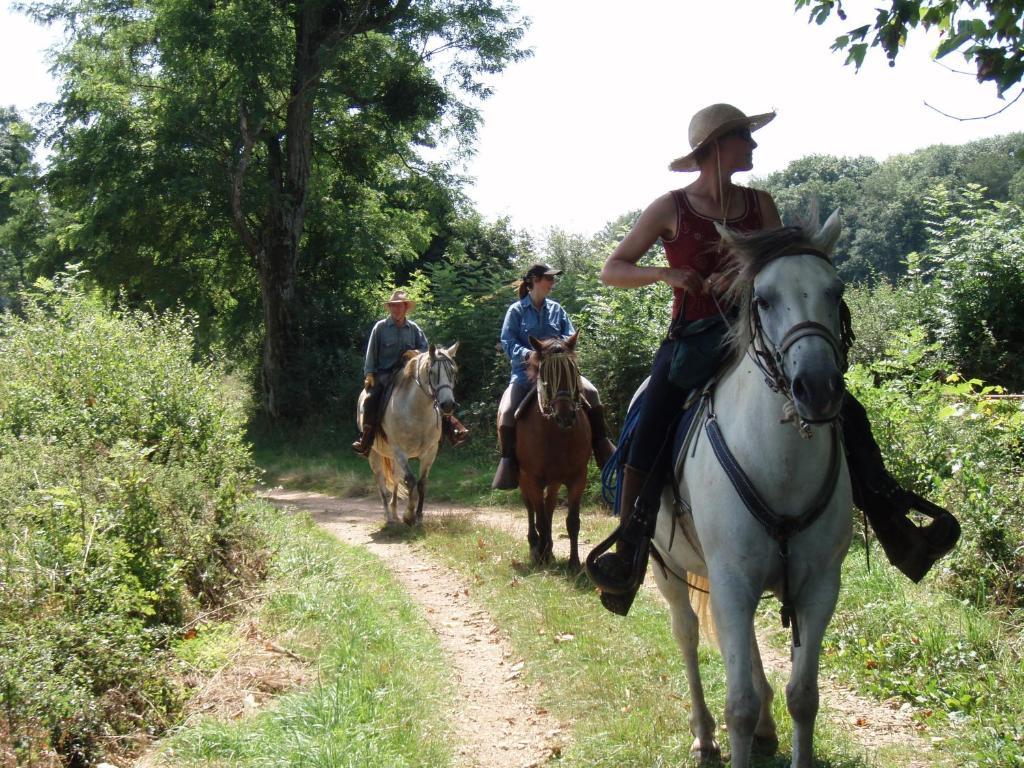 Le Trot'In Chair Bed and Breakfast Martigny-le-Comte Εξωτερικό φωτογραφία