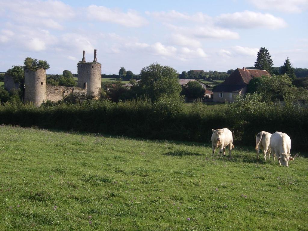 Le Trot'In Chair Bed and Breakfast Martigny-le-Comte Εξωτερικό φωτογραφία